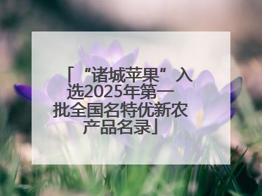 “诸城苹果”入选2025年第一批全国名特优新农产品名录