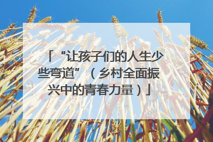 “让孩子们的人生少些弯道”（乡村全面振兴中的青春力量）