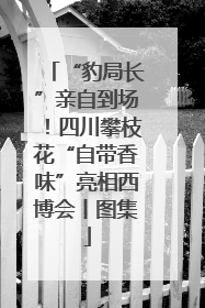 “豹局长”亲自到场！四川攀枝花“自带香味”亮相西博会丨图集