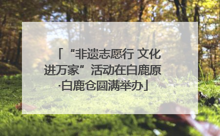 “非遗志愿行 文化进万家”活动在白鹿原·白鹿仓圆满举办