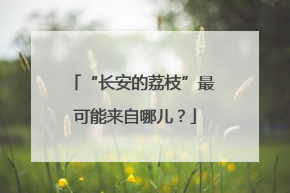 “长安的荔枝”最可能来自哪儿？