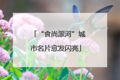“食尚漯河”城市名片愈发闪亮