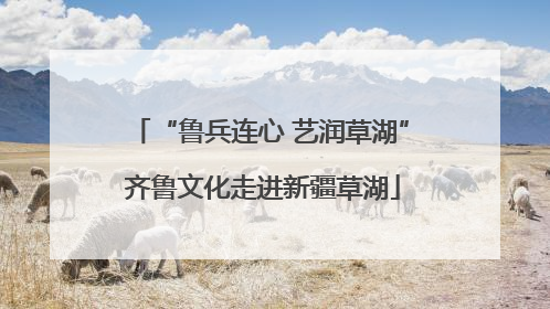 “鲁兵连心 艺润草湖” 齐鲁文化走进新疆草湖