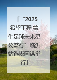 “2025希望工程·蒙牛足球未来星公益行”临沂站选拔圆满举行