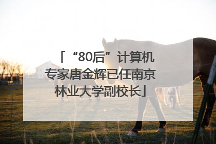 “80后”计算机专家唐金辉已任南京林业大学副校长