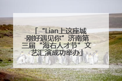 “Lian上这座城·刚好遇见你”济南第三届“海右人才节”文艺汇演成功举办
