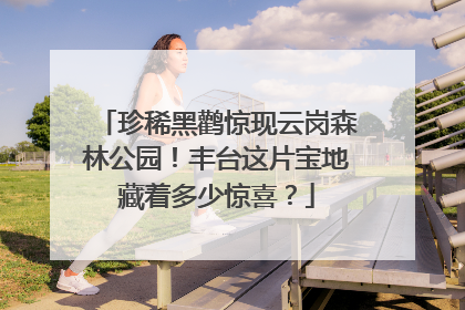 珍稀黑鹳惊现云岗森林公园！丰台这片宝地藏着多少惊喜？