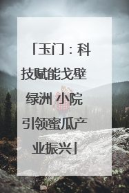 玉门：科技赋能戈壁绿洲 小院引领蜜瓜产业振兴