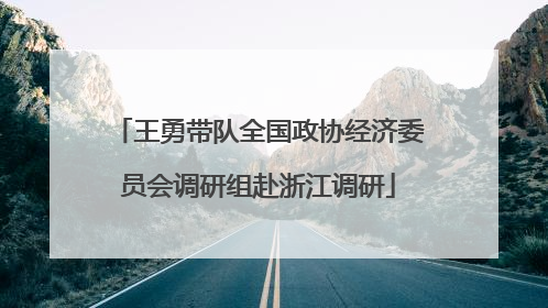 王勇带队全国政协经济委员会调研组赴浙江调研