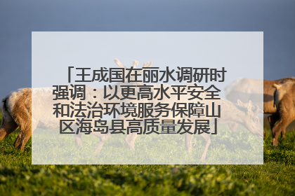 王成国在丽水调研时强调：以更高水平安全和法治环境服务保障山区海岛县高质量发展