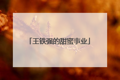 王铁强的甜蜜事业