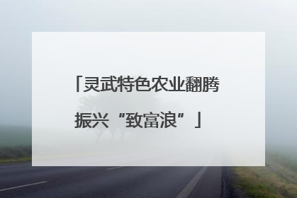 灵武特色农业翻腾振兴“致富浪”