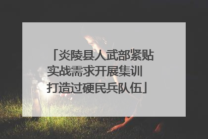 炎陵县人武部紧贴实战需求开展集训 打造过硬民兵队伍