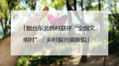 烟台东北桥村获评“全国文明村”：乡村振兴展新貌