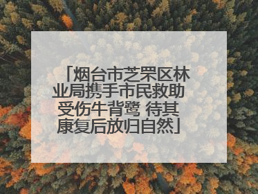 烟台市芝罘区林业局携手市民救助受伤牛背鹭 待其康复后放归自然