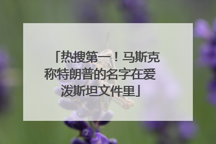 热搜第一！马斯克称特朗普的名字在爱泼斯坦文件里