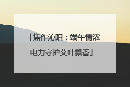 焦作沁阳：端午情浓 电力守护艾叶飘香