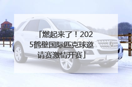 燃起来了！2025鹤壁国际匹克球邀请赛激情开赛