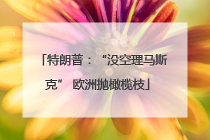 特朗普：“没空理马斯克” 欧洲抛橄榄枝