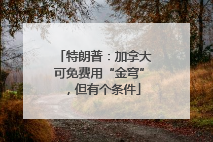 特朗普：加拿大可免费用“金穹”，但有个条件