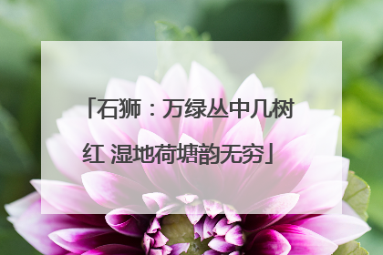石狮：万绿丛中几树红 湿地荷塘韵无穷