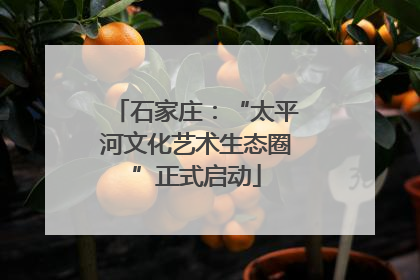 石家庄：“太平河文化艺术生态圈”正式启动
