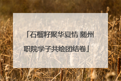 石榴籽聚华夏情 随州职院学子共绘团结卷