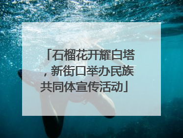 石榴花开耀白塔，新街口举办民族共同体宣传活动