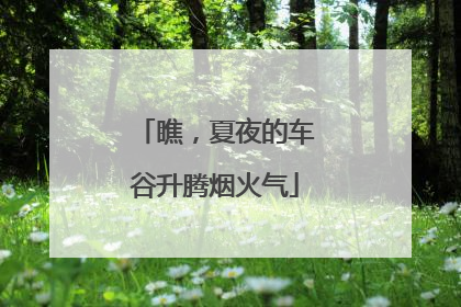 瞧，夏夜的车谷升腾烟火气
