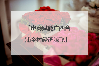 电商赋能广西合浦乡村经济腾飞