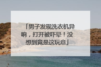 男子发现洗衣机异响，打开被吓晕！没想到竟是这玩意