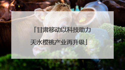 甘肃移动以科技助力天水樱桃产业再升级