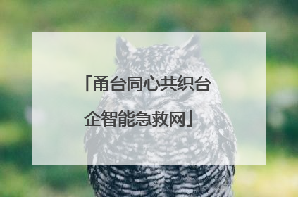 甬台同心共织台企智能急救网
