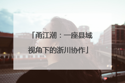 甬江潮：一座县域视角下的浙川协作