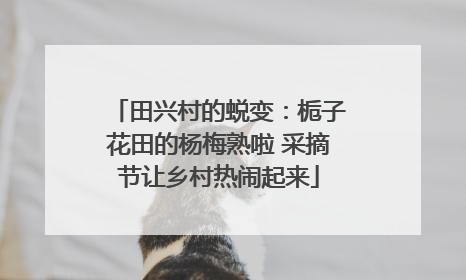 田兴村的蜕变：栀子花田的杨梅熟啦 采摘节让乡村热闹起来