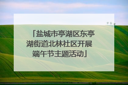 盐城市亭湖区东亭湖街道北林社区开展端午节主题活动
