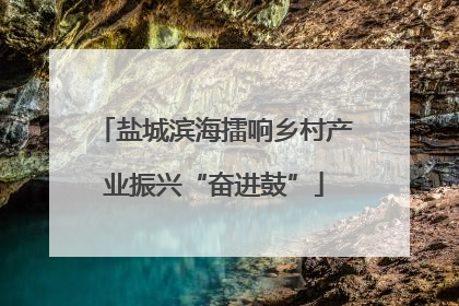 盐城滨海擂响乡村产业振兴“奋进鼓”