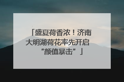 盛夏荷香浓！济南大明湖荷花率先开启“颜值暴击”