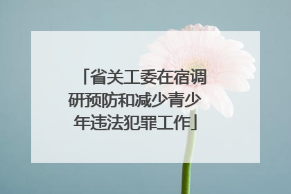 省关工委在宿调研预防和减少青少年违法犯罪工作