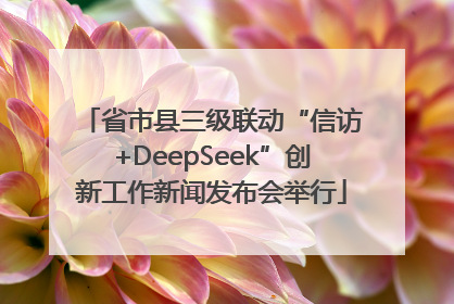 省市县三级联动“信访+DeepSeek”创新工作新闻发布会举行