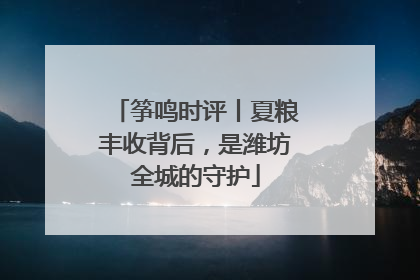 筝鸣时评丨夏粮丰收背后，是潍坊全城的守护