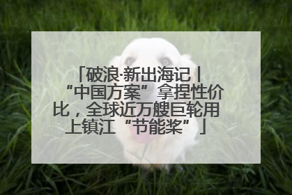 破浪·新出海记丨 “中国方案”拿捏性价比，全球近万艘巨轮用上镇江“节能桨”