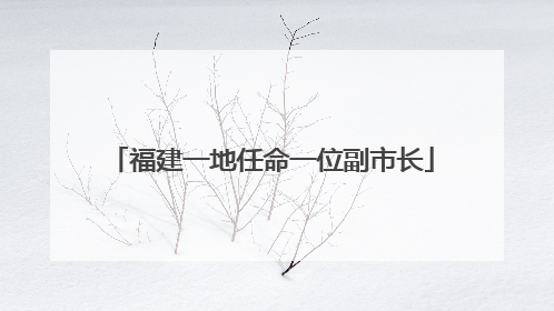 福建一地任命一位副市长