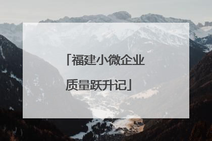 福建小微企业质量跃升记