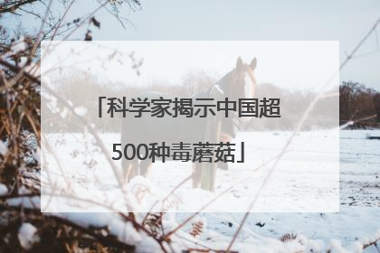 科学家揭示中国超500种毒蘑菇