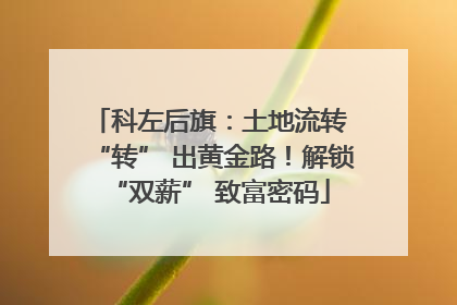 科左后旗：土地流转 “转” 出黄金路！解锁 “双薪” 致富密码