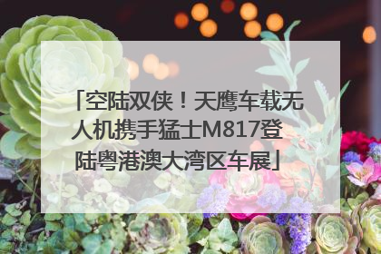 空陆双侠！天鹰车载无人机携手猛士M817登陆粤港澳大湾区车展