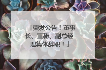 突发公告！董事长、董秘、副总经理集体辞职！