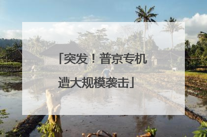 突发！普京专机遭大规模袭击