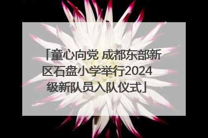 童心向党 成都东部新区石盘小学举行2024级新队员入队仪式